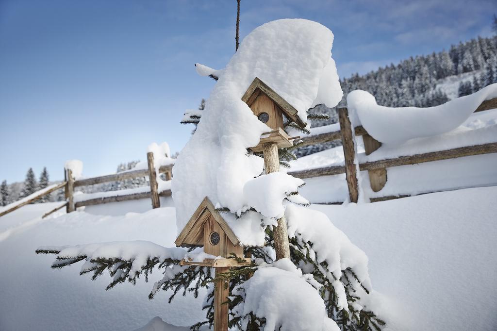 Auhaeuslalm Villa Maria Alm am Steinernen Meer Buitenkant foto