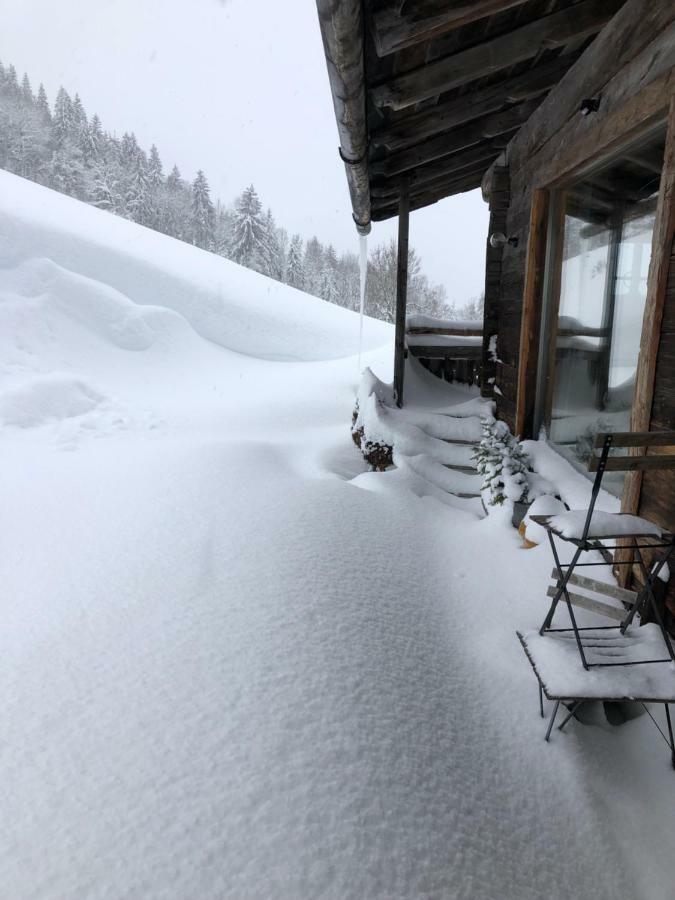 Auhaeuslalm Villa Maria Alm am Steinernen Meer Buitenkant foto